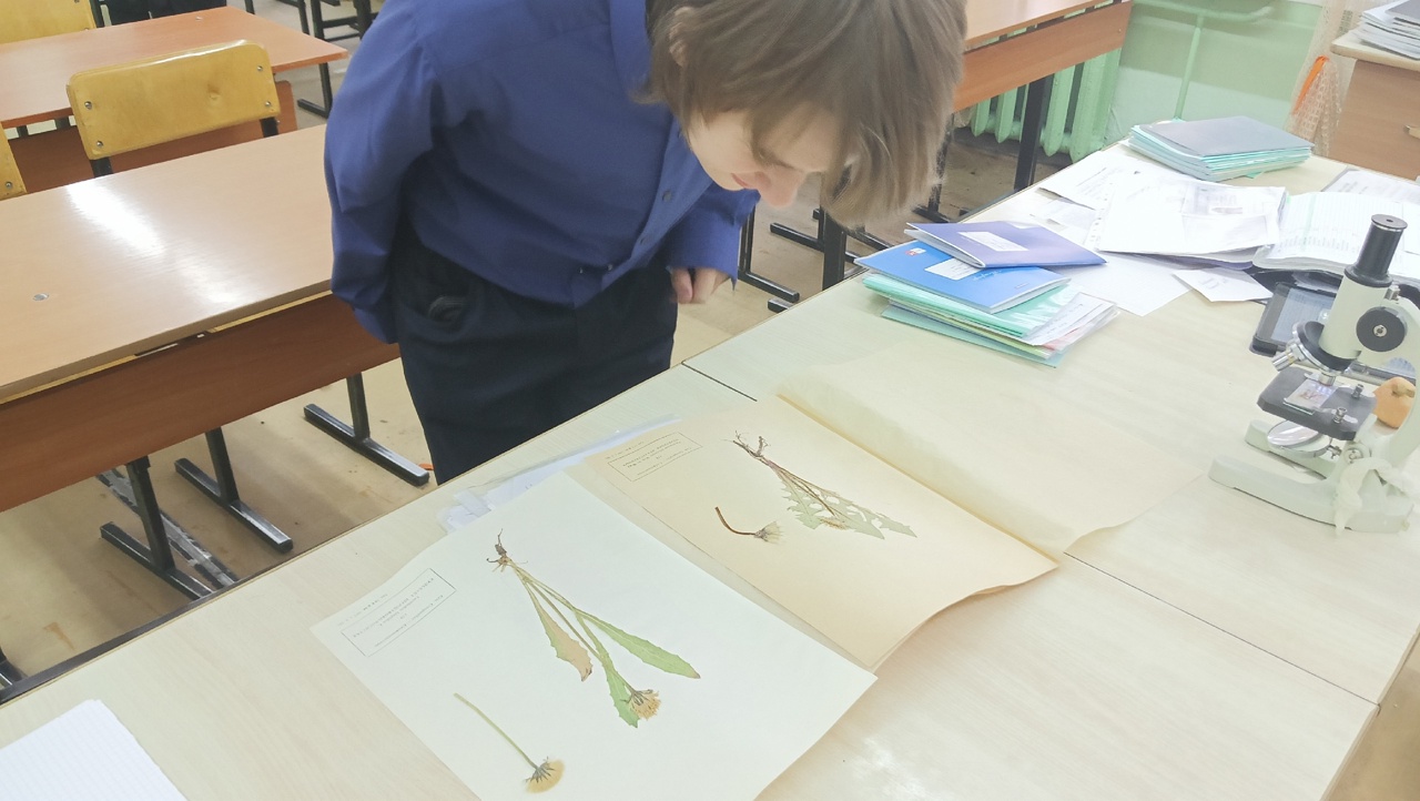 Урок биологии.